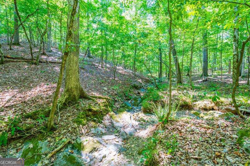 0 Overlook Trail Acworth, GA 30101 - Photo 11 of 15