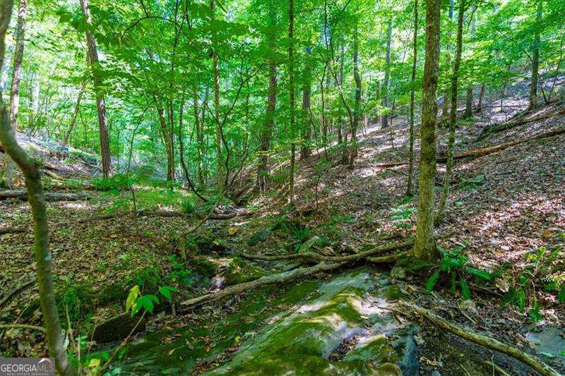 0 Overlook Trail Acworth, GA 30101 - Photo 12 of 15