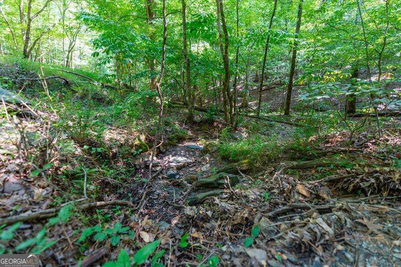 0 Overlook Trail Acworth, GA 30101 - Photo 13 of 15