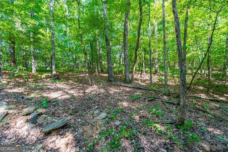 0 Overlook Trail Acworth, GA 30101 - Photo 15 of 15