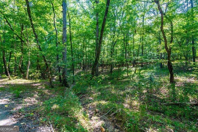 0 Overlook Trail Acworth, GA 30101 - Photo 4 of 15