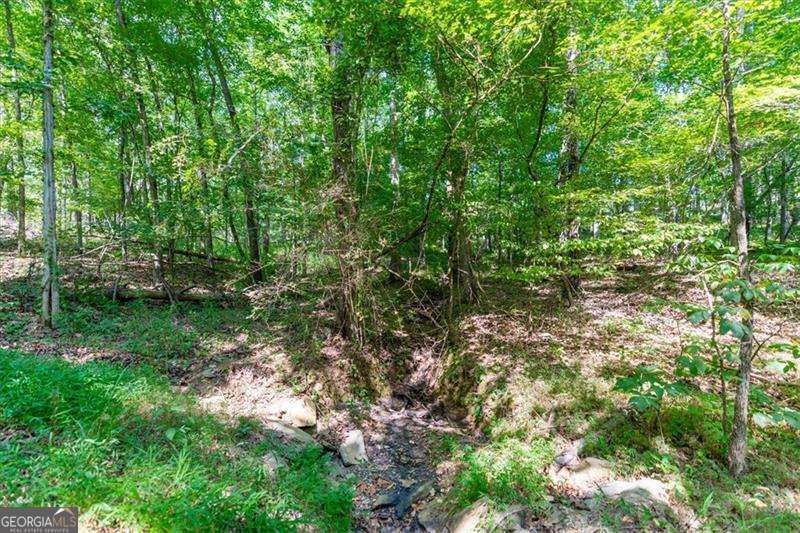 0 Overlook Trail Acworth, GA 30101 - Photo 5 of 15