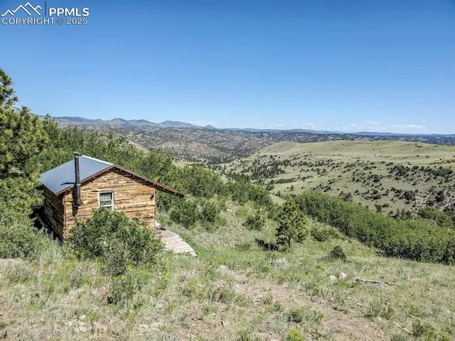 a view of a big yard with large trees