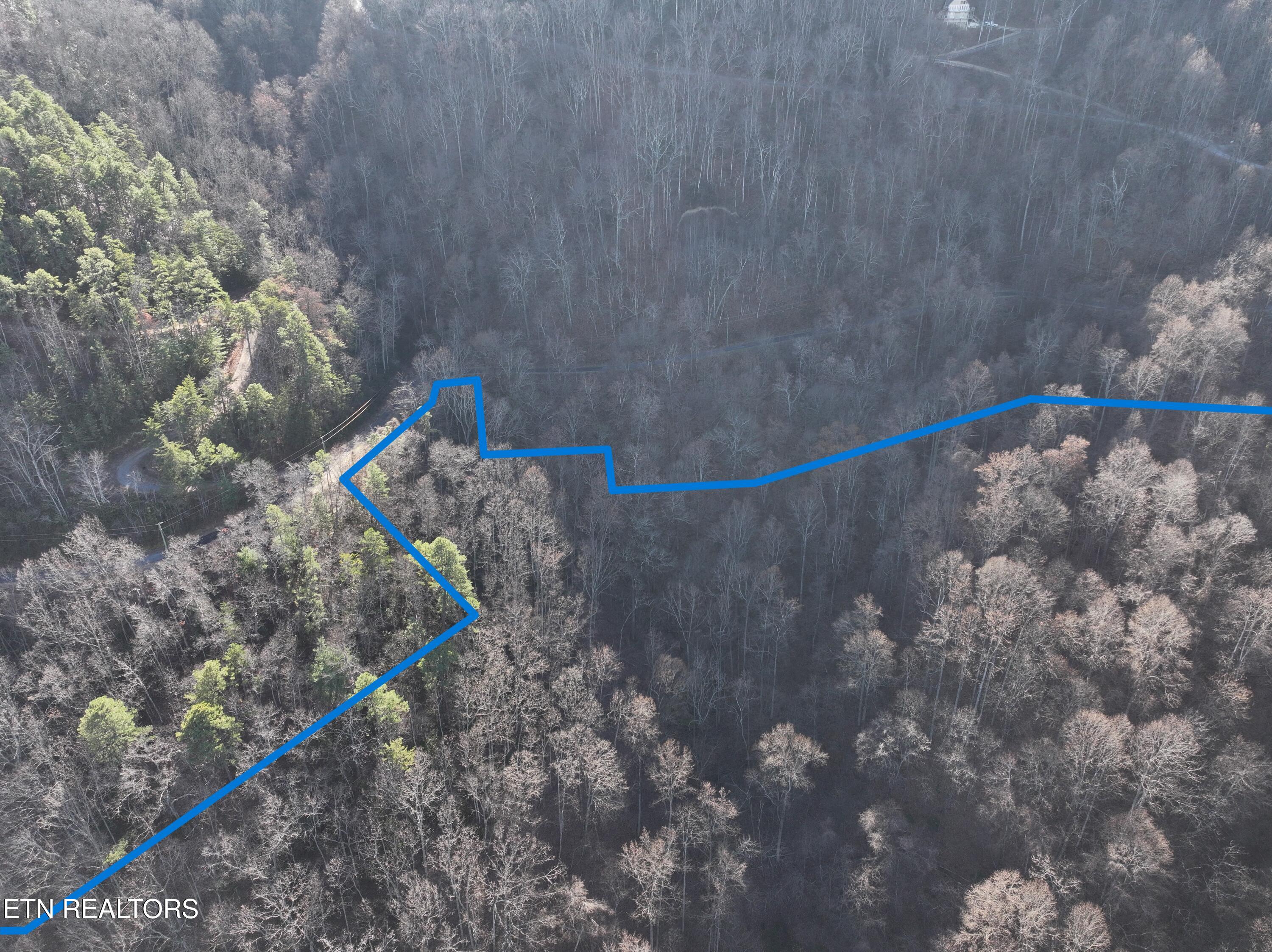 N/a Balsam Slopes Road Sevierville, TN 37862 - Photo 11 of 15 Drone Lines 3