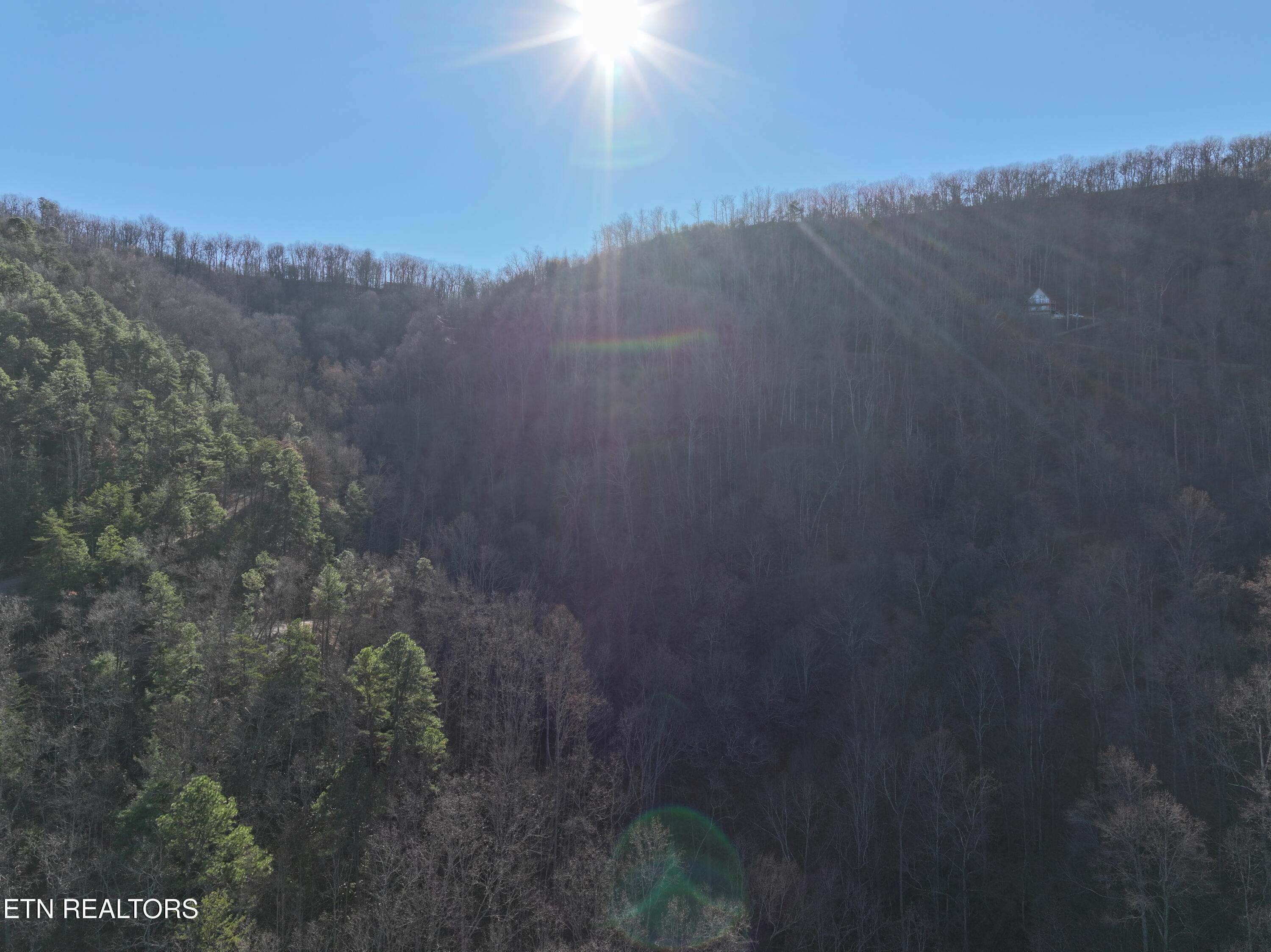 N/a Balsam Slopes Road Sevierville, TN 37862 - Photo 8 of 15 Drone 1