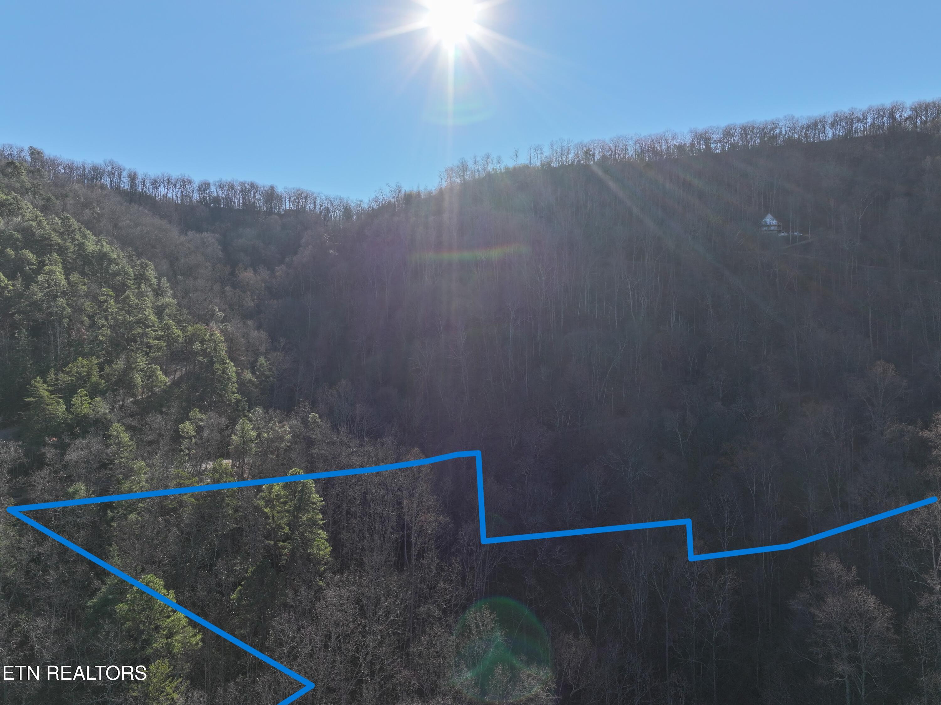 N/a Balsam Slopes Road Sevierville, TN 37862 - Photo 9 of 15 Drone Lines 1