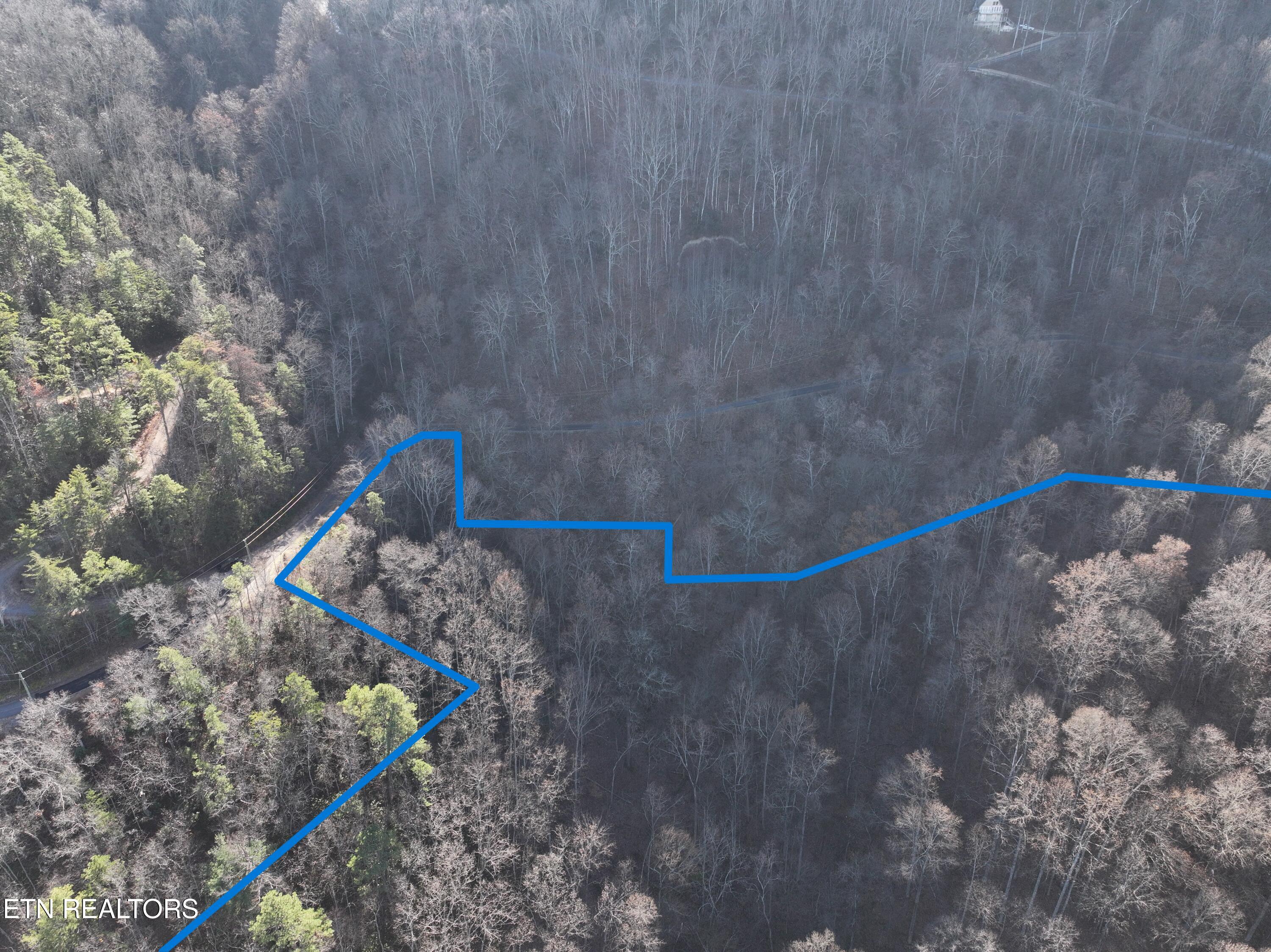 N/a Balsam Slopes Road Sevierville, TN 37862 - Photo 10 of 15 Drone Lines 2