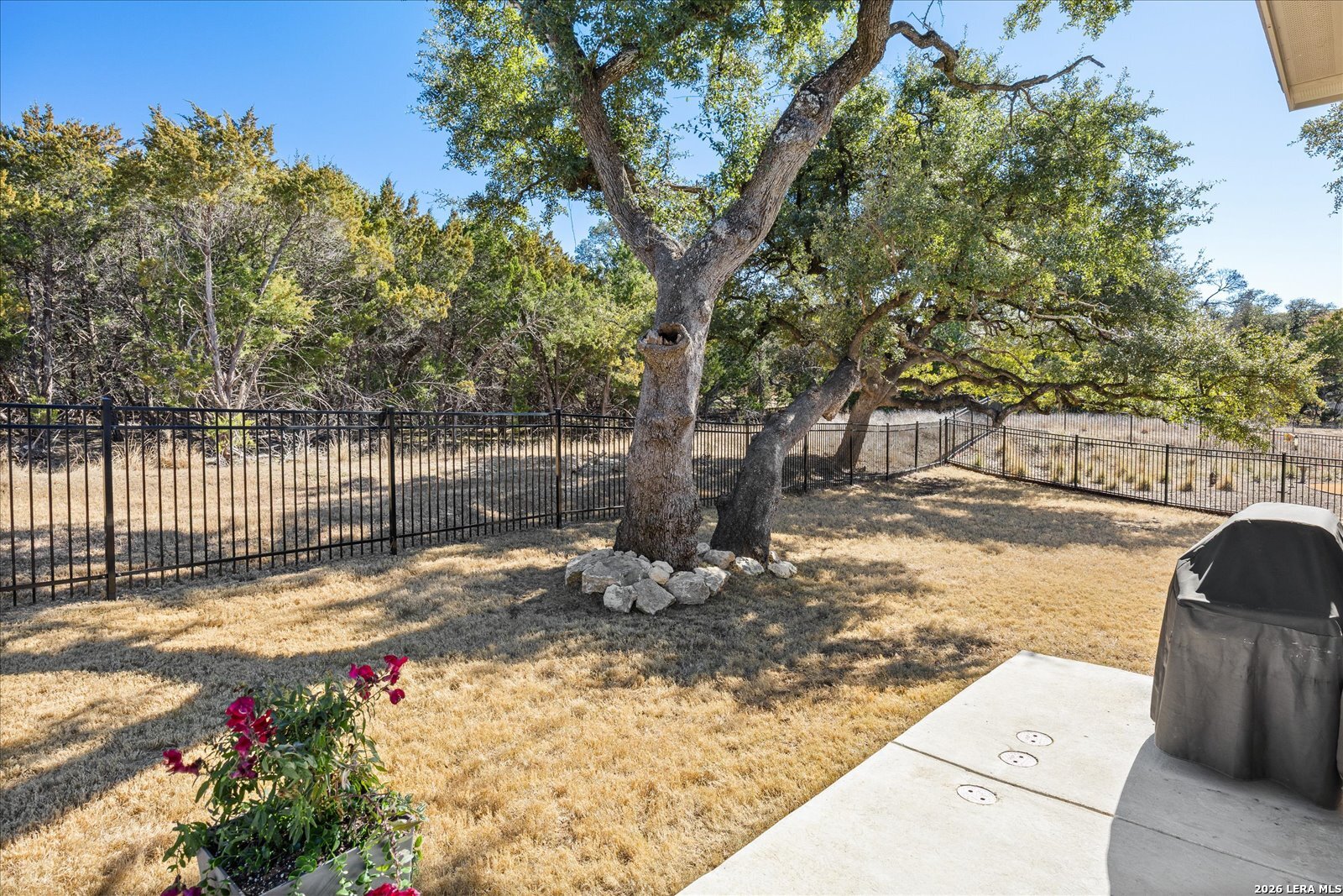 117 Amarosa Boerne, TX 78006 - Photo 41 of 62