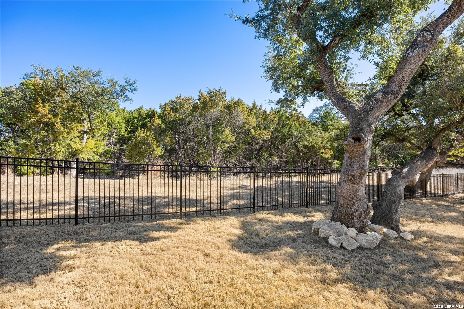 117 Amarosa Boerne, TX 78006 - Photo 44 of 62 a view of a yard with a tree