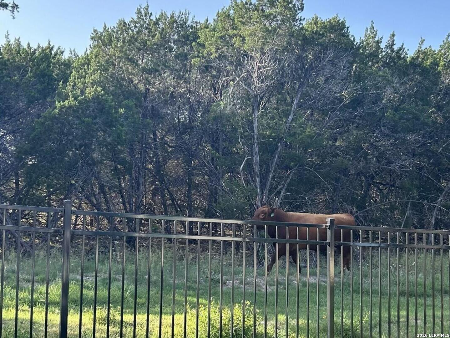 117 Amarosa Boerne, TX 78006 - Photo 49 of 62