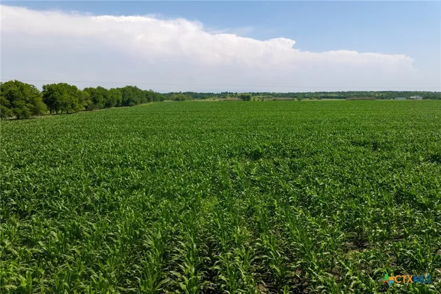 a view of a field with clear sky