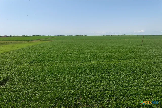 a green field with lots of green space