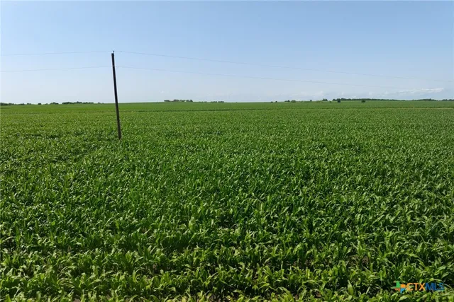 a view of a green field with clear sky