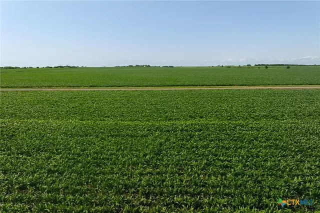 $285,000 | Lot 3 County Road 425, Thorndale, TX 76577