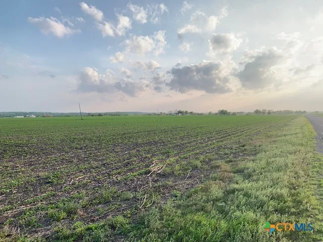 a view of a big yard