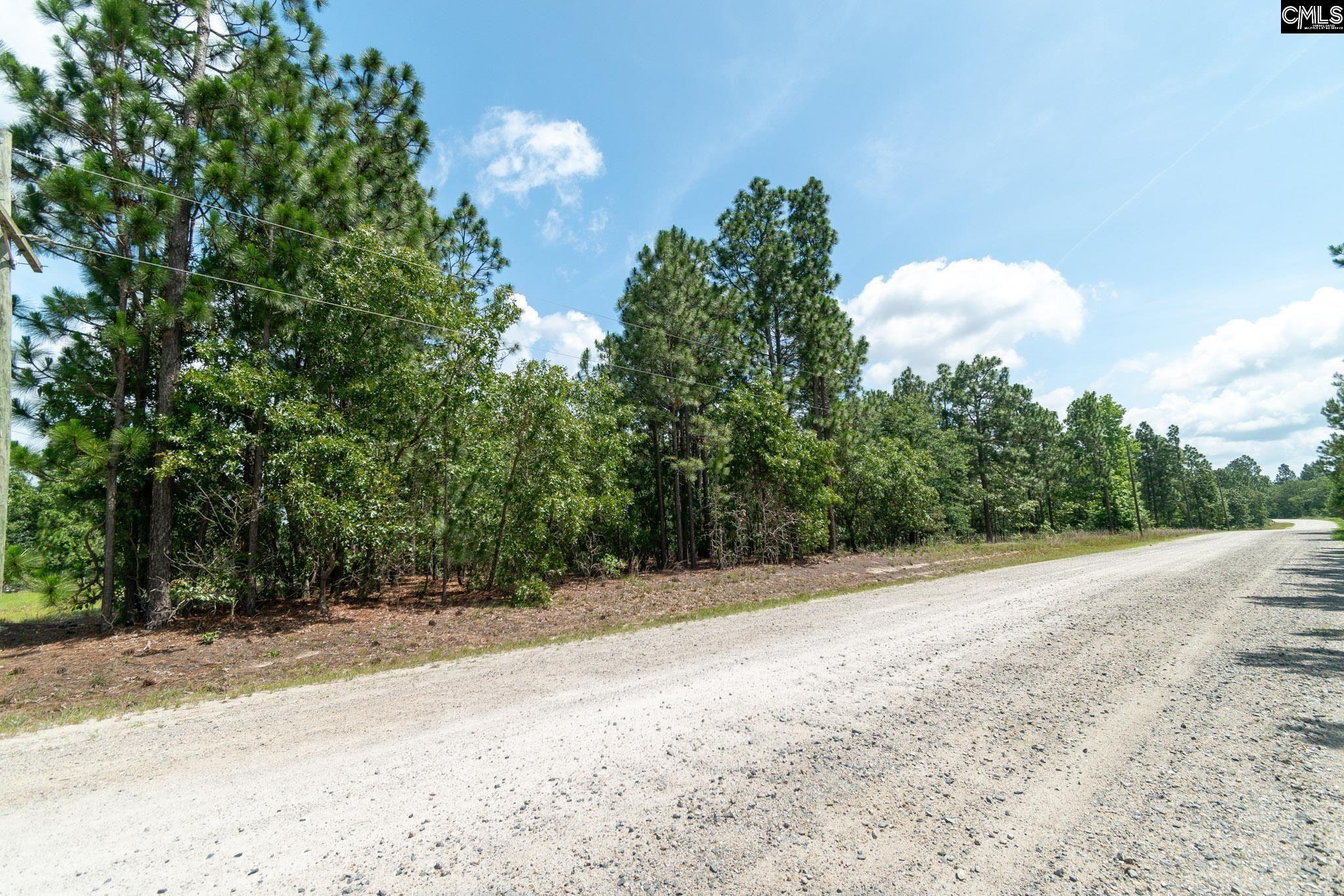 216 Hound Holw Road Camden, SC 29020 - Photo 6 of 9
