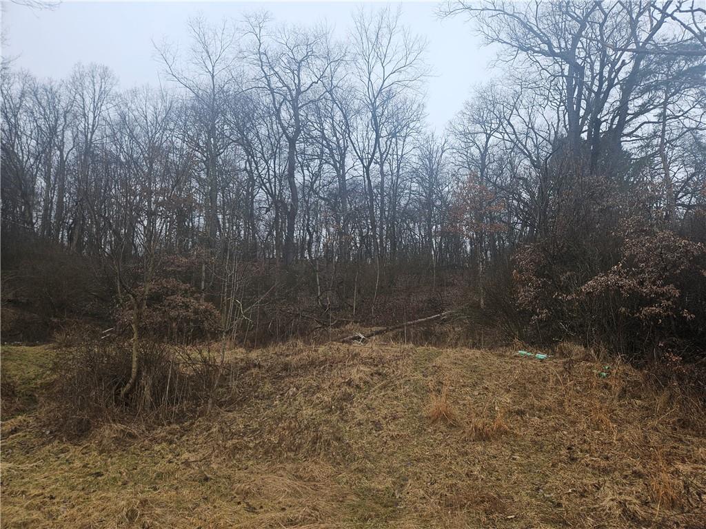 116 Seipe Lane Valencia, PA 16059 - Photo 11 of 16 a view of a yard