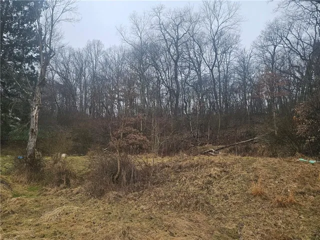 a view of a yard with large trees