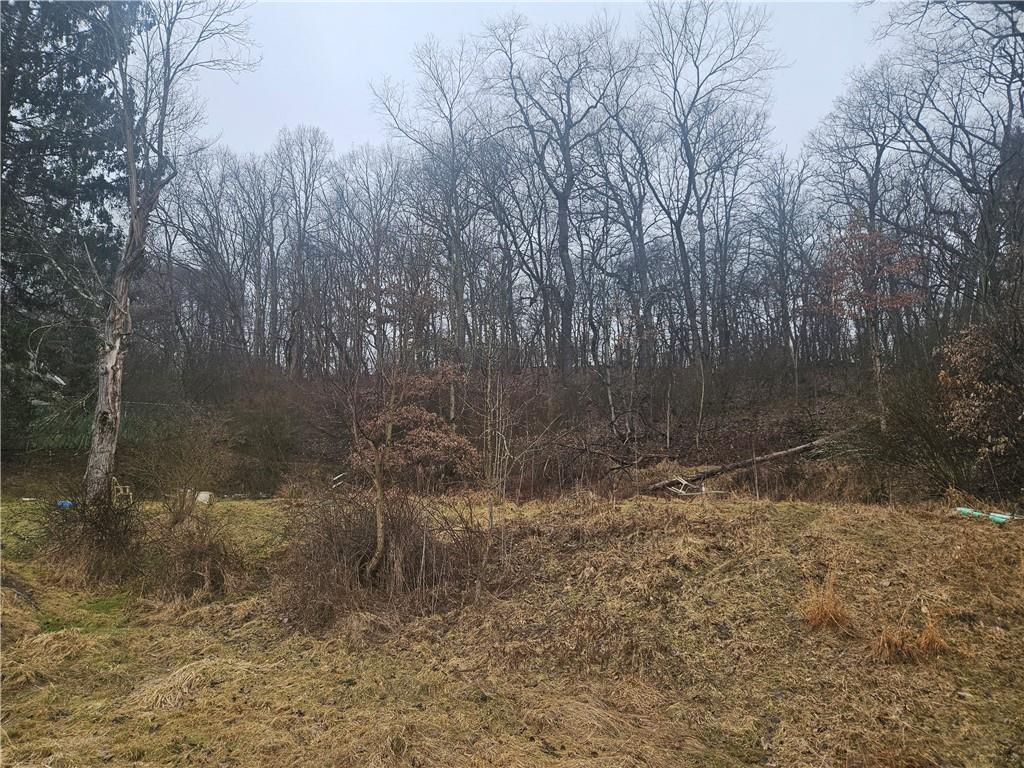 116 Seipe Lane Valencia, PA 16059 - Photo 12 of 16 a view of a yard