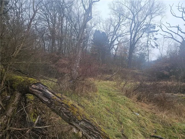 a view of a dry yard with trees