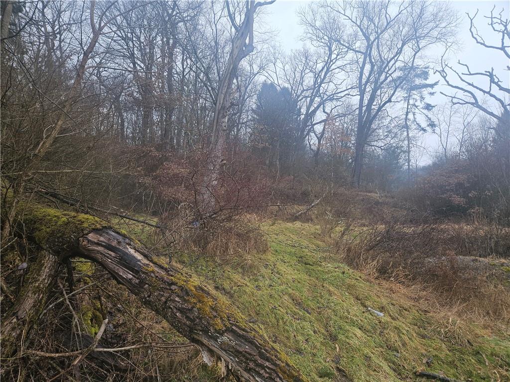 116 Seipe Lane Valencia, PA 16059 - Photo 14 of 16 a view of a yard