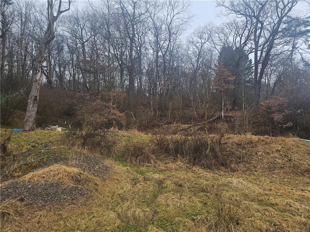 116 Seipe Lane Valencia, PA 16059 - Photo 15 of 16