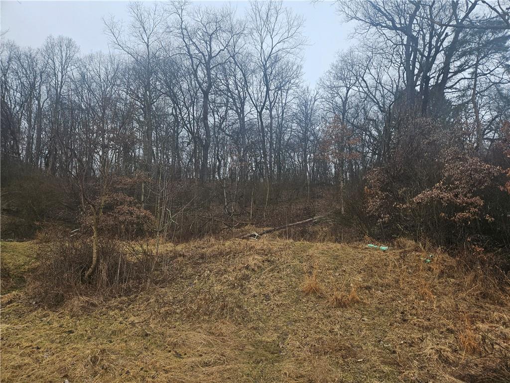 116 Seipe Lane Valencia, PA 16059 - Photo 5 of 16 a view of a yard