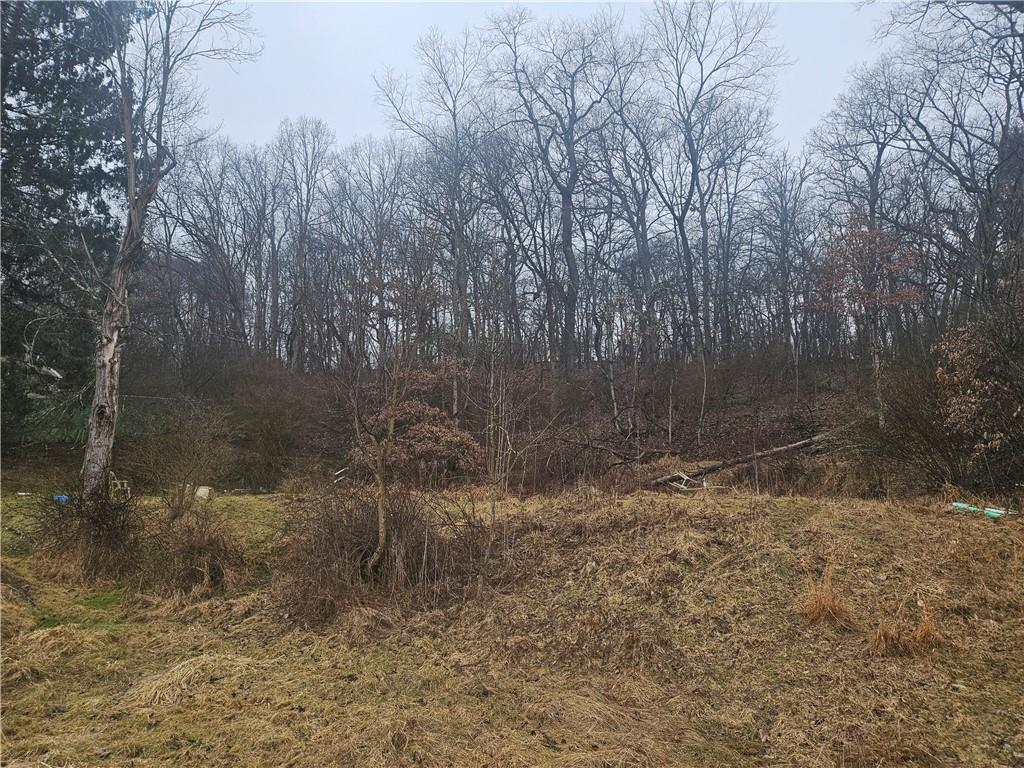 116 Seipe Lane Valencia, PA 16059 - Photo 7 of 16 a view of a yard