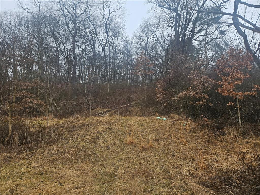 116 Seipe Lane Valencia, PA 16059 - Photo 8 of 16 a view of a yard