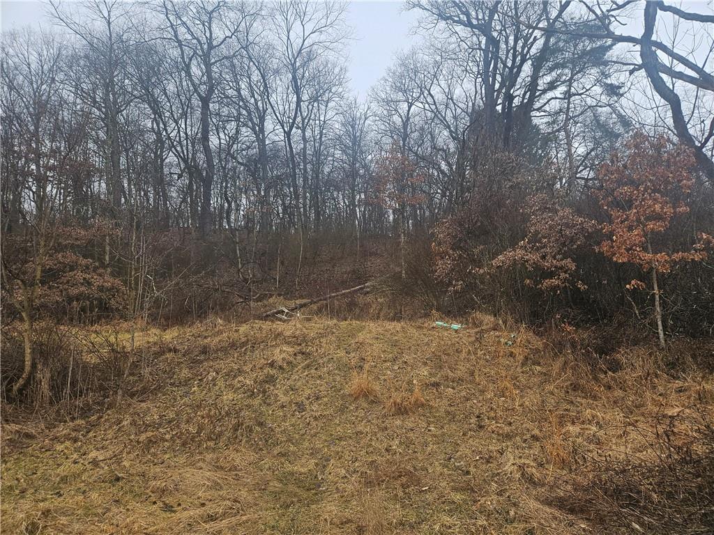 116 Seipe Lane Valencia, PA 16059 - Photo 9 of 16 a view of a yard