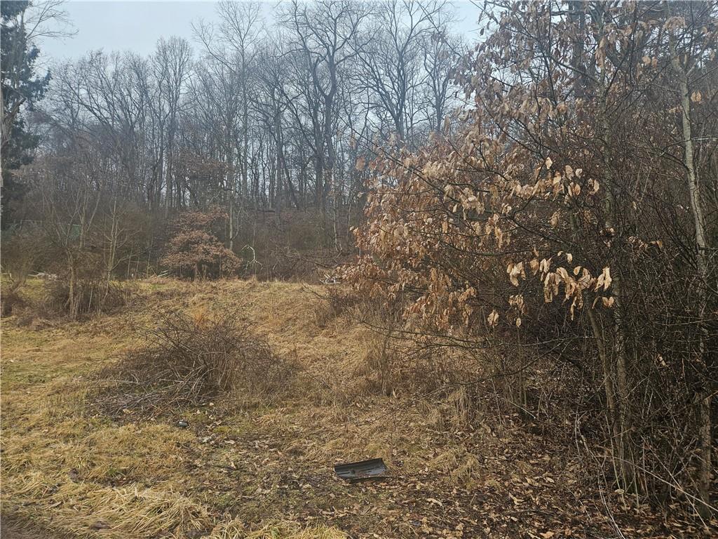 116 Seipe Lane Valencia, PA 16059 - Photo 10 of 16 a view of a yard