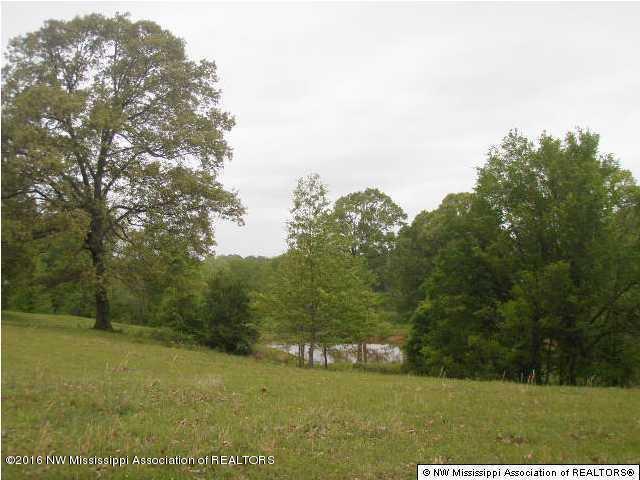 2529 Rader Creek Road Sarah, MS 38665 - Photo 1 of 10 20160713222135360553000000-o