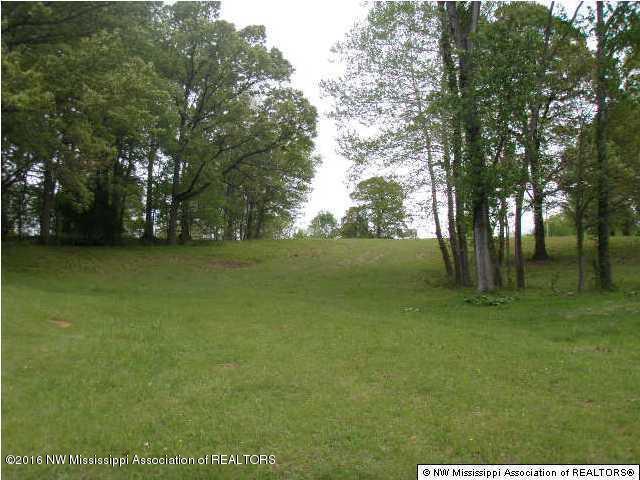2529 Rader Creek Road Sarah, MS 38665 - Photo 3 of 10 20160713222135154556000000-o