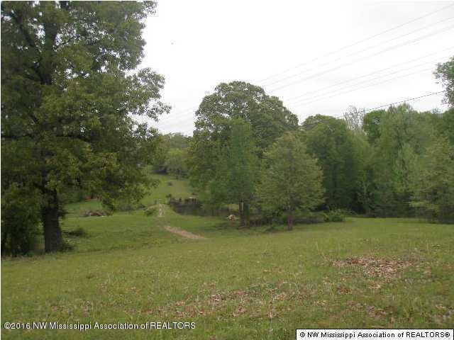 2529 Rader Creek Road Sarah, MS 38665 - Photo 4 of 10 20160713222135675257000000-o