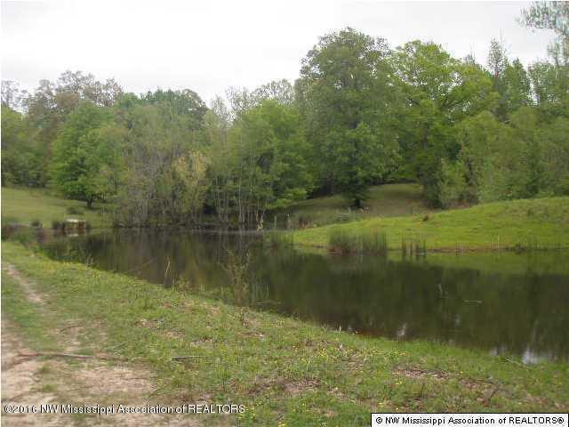 2529 Rader Creek Road Sarah, MS 38665 - Photo 7 of 10 20160713222136582768000000-o