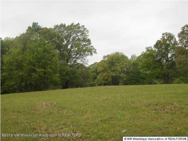 2529 Rader Creek Road Sarah, MS 38665 - Photo 8 of 10 20160713222136934415000000-o