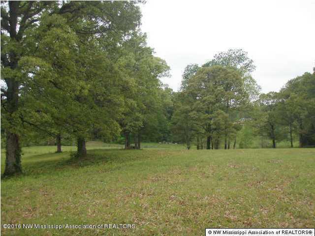 2529 Rader Creek Road Sarah, MS 38665 - Photo 9 of 10 20160713222137138133000000-o