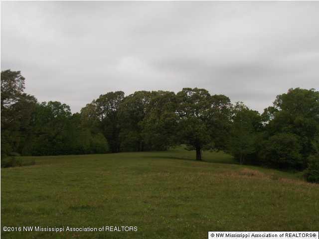 2529 Rader Creek Road Sarah, MS 38665 - Photo 10 of 10 20160713222137381074000000-o