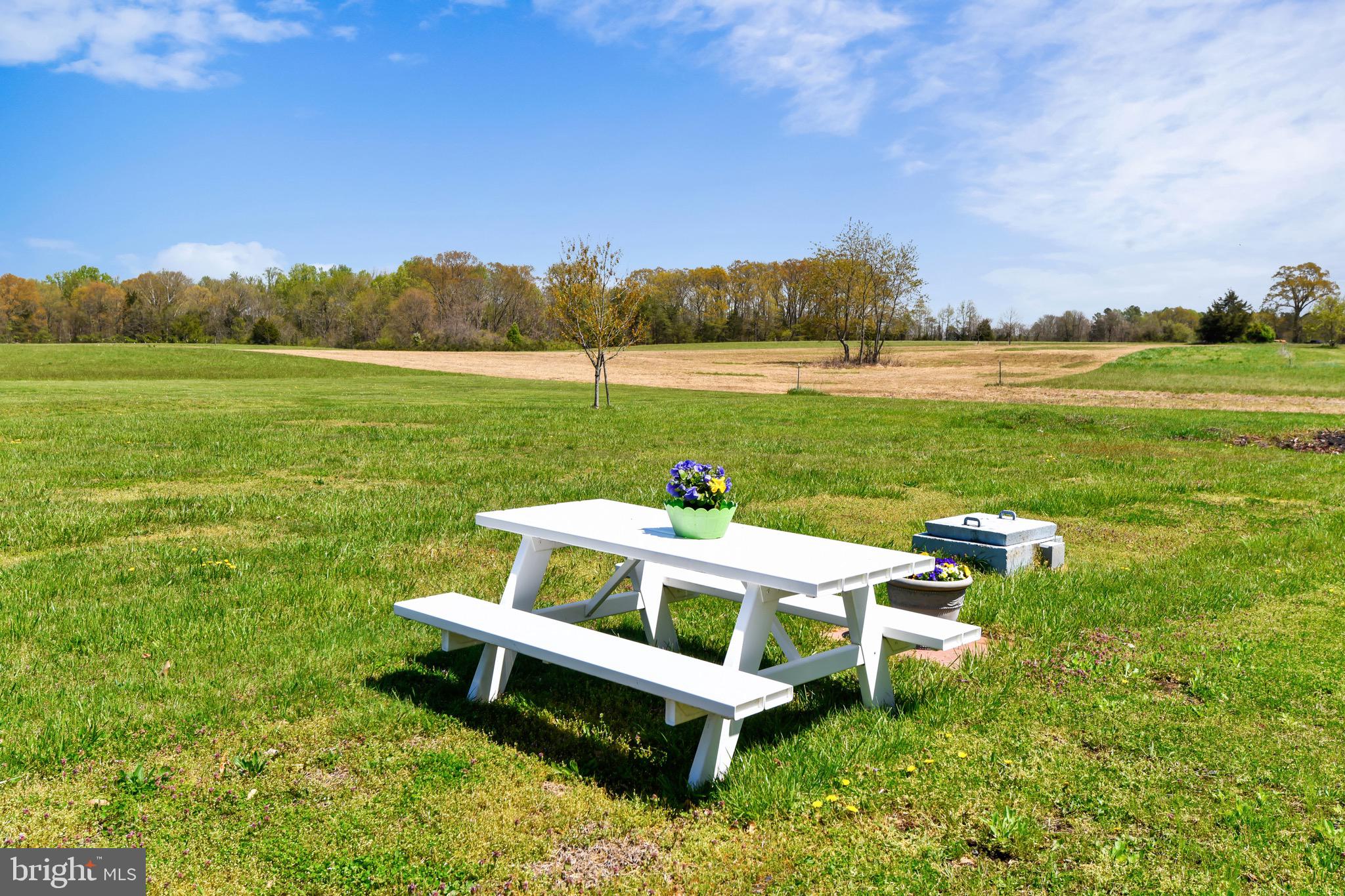 10040 South Faulkner Road Faulkner, MD 20632 - Photo 50 of 59 Beautiful field views from your picnic table