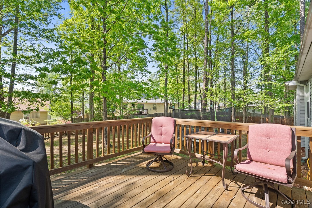 14506 Hancock Ridge Court Chesterfield, VA 23832 - Photo 31 of 34 Gallery Image 31