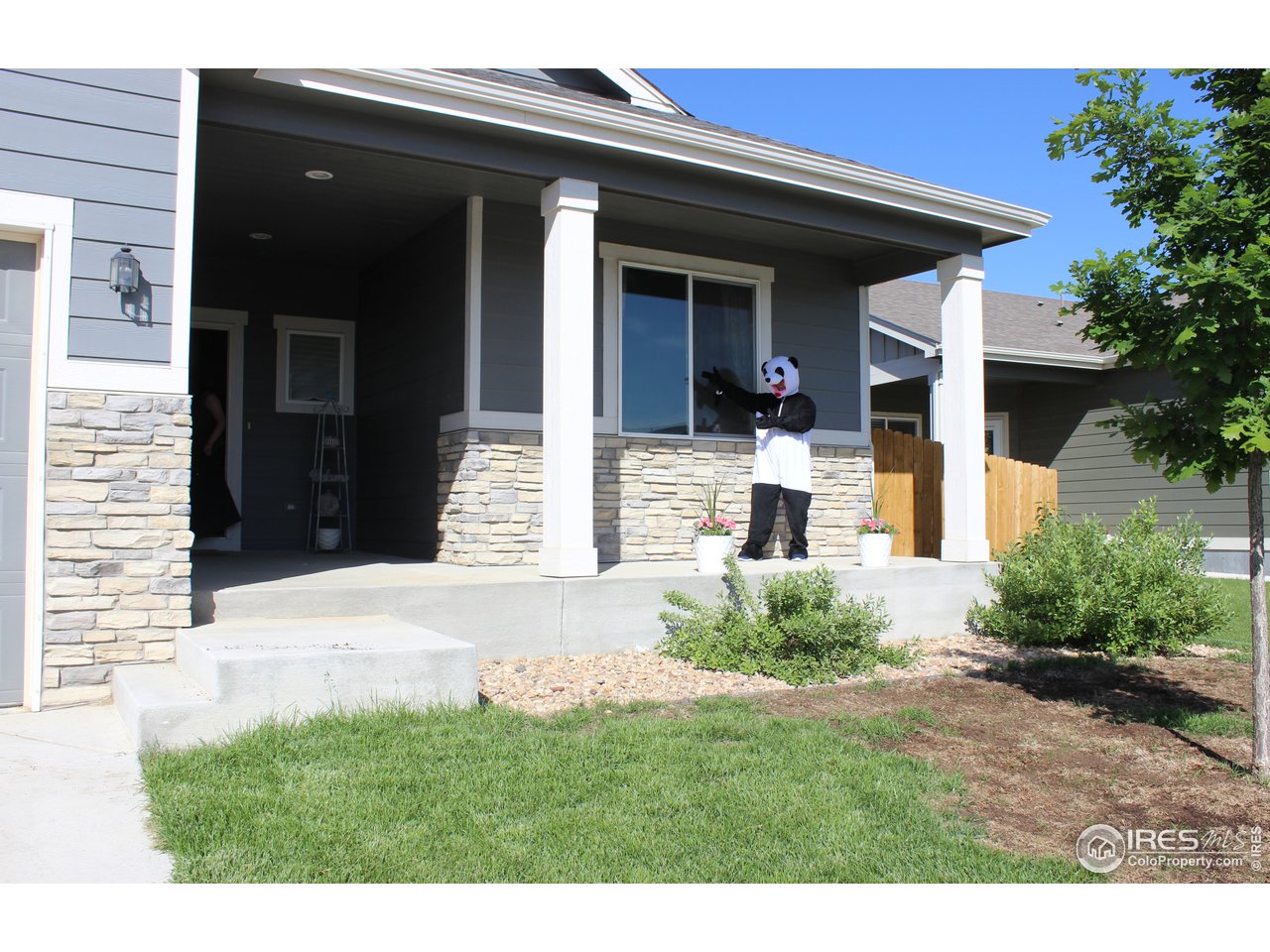952 South Settlers Drive Milliken, CO 80543 - Photo 3 of 26 Covered Front Porch