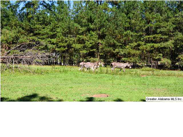 3601 Highway 69 Chelsea, AL 35043 - Photo 32 of 32