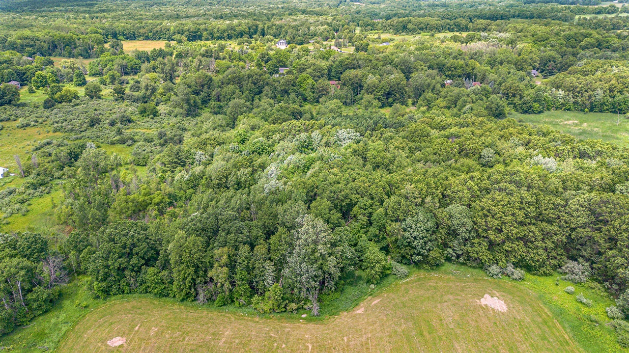 4 6 Mile Road Comstock Park, MI 49321 - Photo 1 of 10