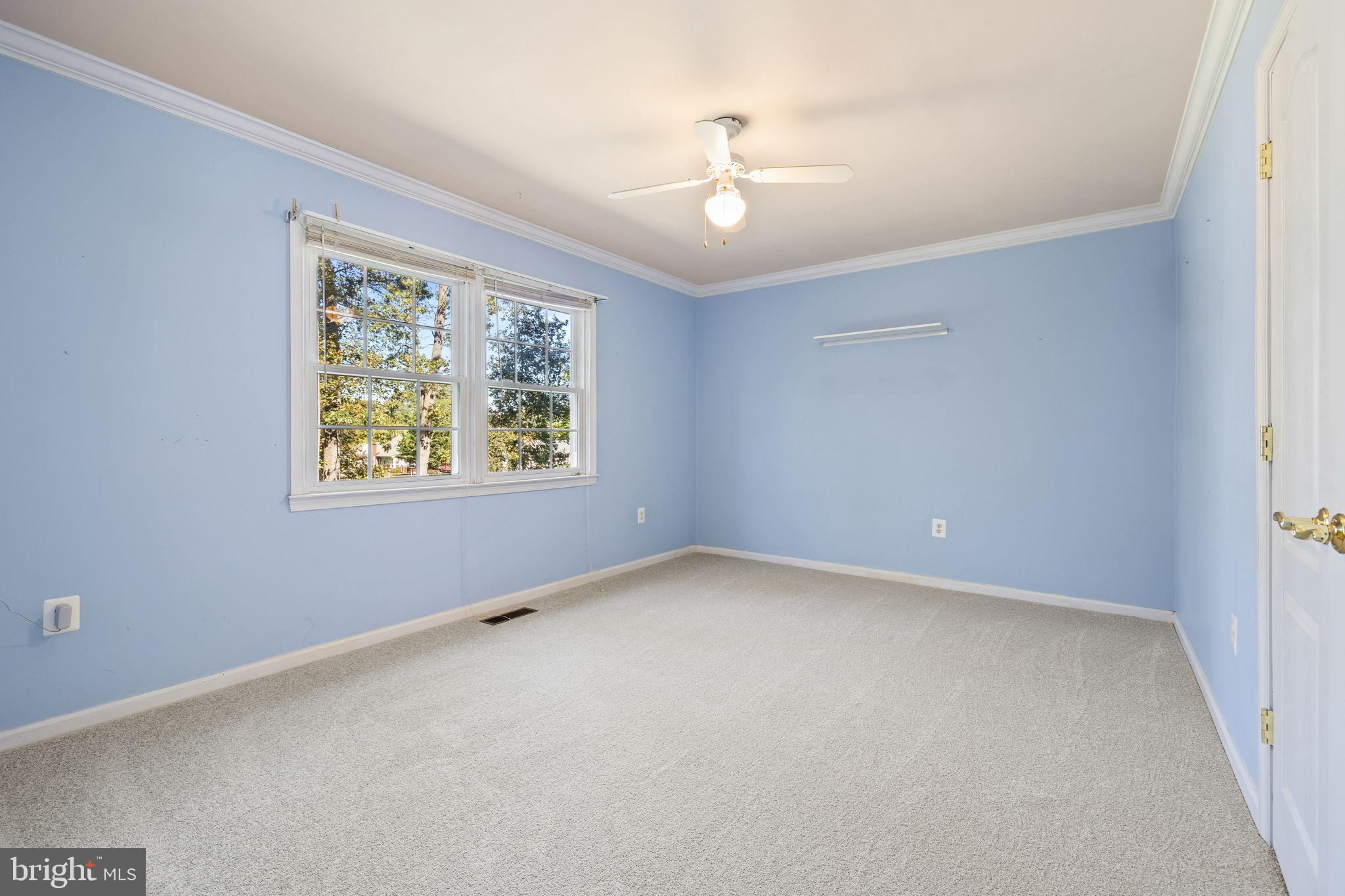 6397 Tazewell Street Warrenton, VA 20187 - Photo 23 of 41 Bright, airy room with serene blue walls.