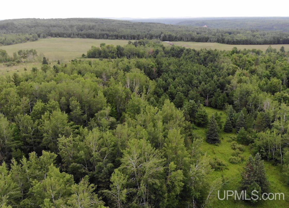 15 Grenlund Road Bruce Crossing, MI 49912 - Photo 2 of 18