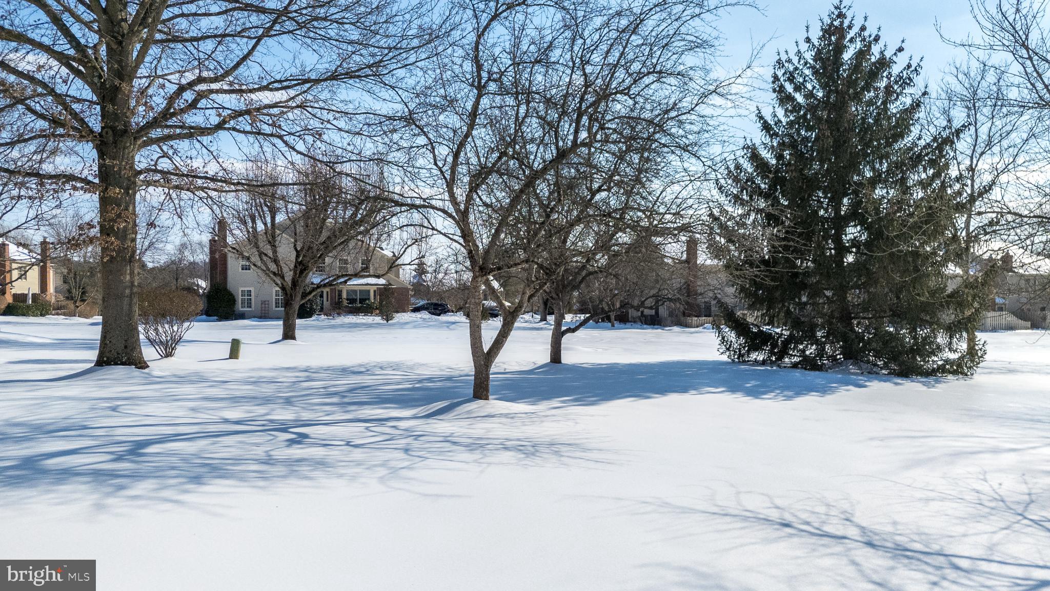 205 Bridle Lane Ambler, PA 19002 - Photo 33 of 34 View of backyard
