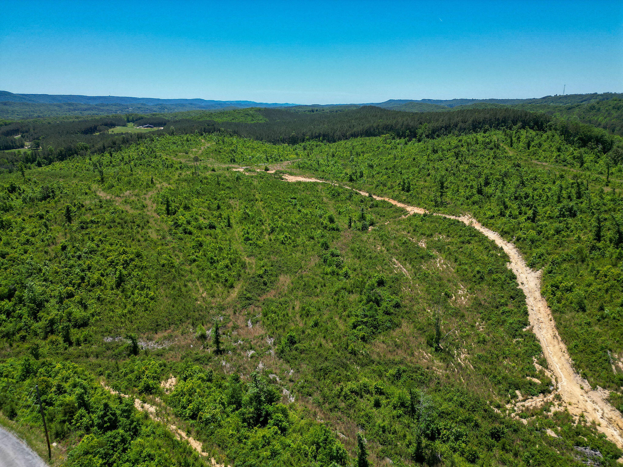 74-acs Bethel Road Valley Head, AL 35989 - Photo 8 of 12 DJI_0221