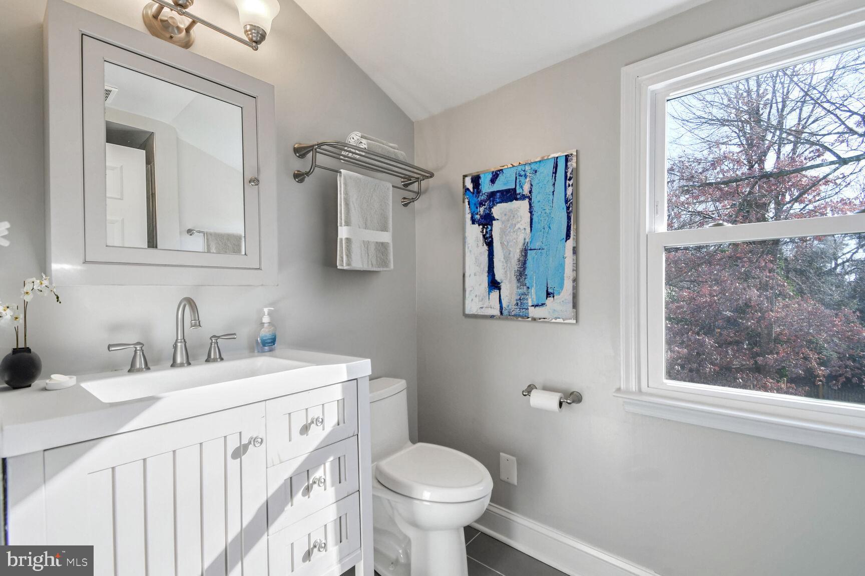 112 St Lawrence Drive Silver Spring, MD 20901 - Photo 18 of 30 a bathroom with a toilet a sink and a mirror