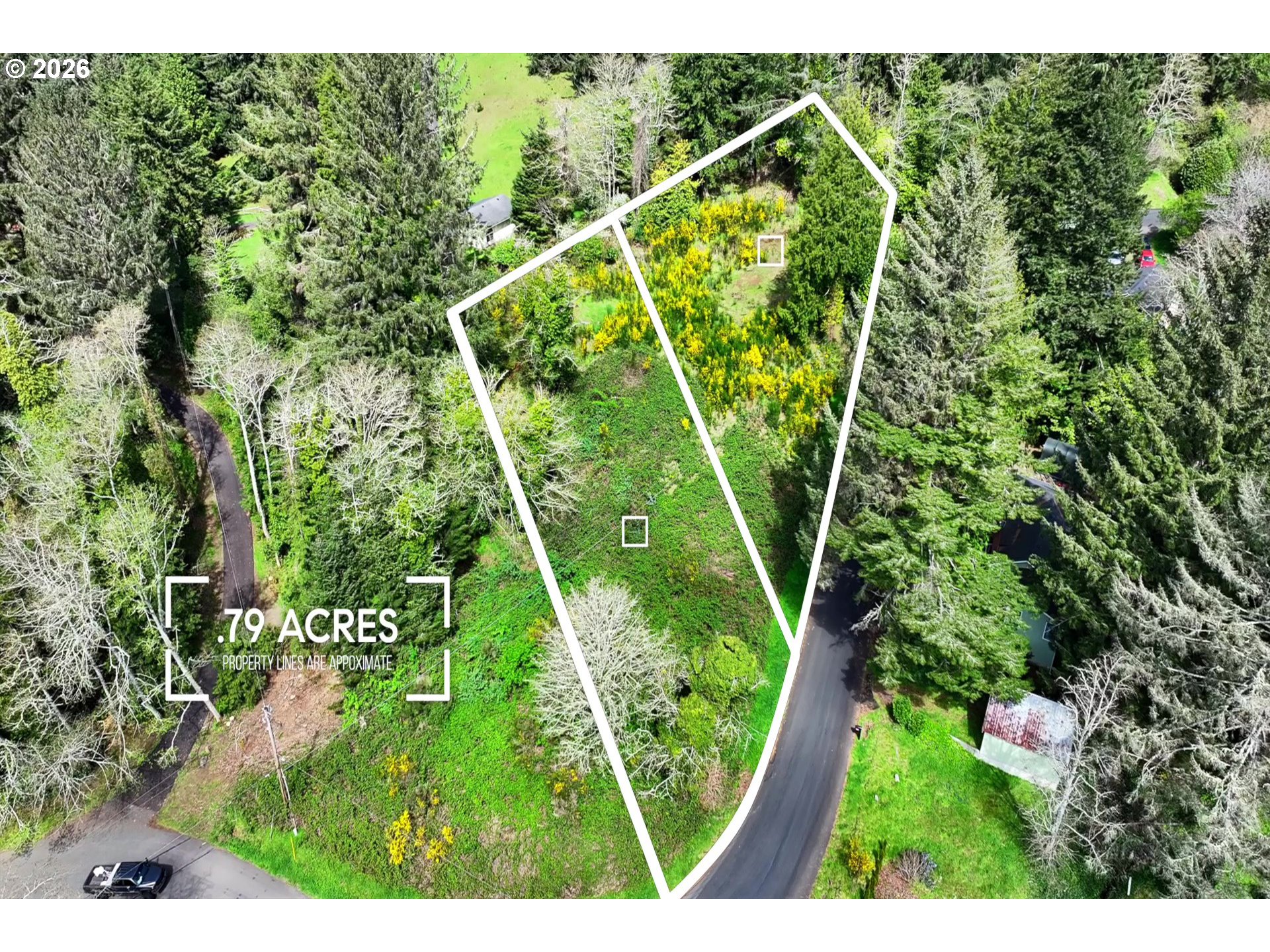 5285 Herman Cape Road Florence, OR 97439 - Photo 1 of 13 a view of a yard with plants