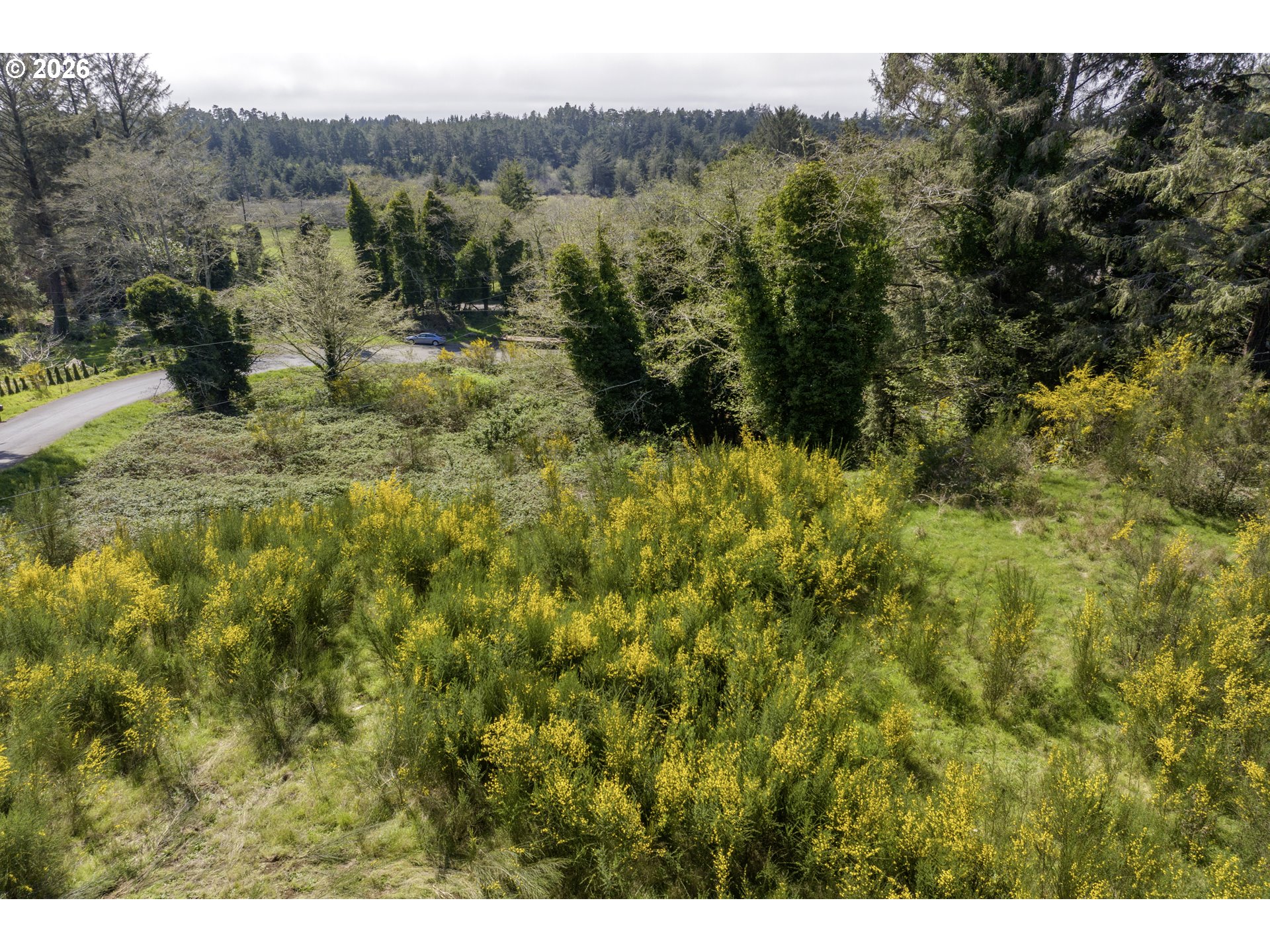 5285 Herman Cape Road Florence, OR 97439 - Photo 11 of 13 a view of a lush green forest with trees and some houses
